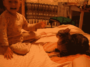 tumblr_n1cnqn9i9n1sqx8y7o1_400