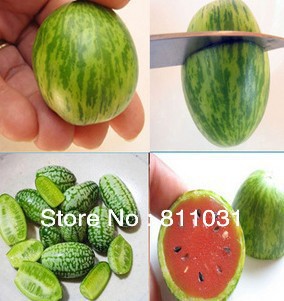 Hot-selling-10pcs-Bonsai-Mini-Watermelon-Seeds-Fruit-seeds-DIY-home-garden-free-shipping