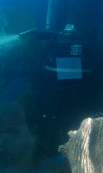 IMAG0094