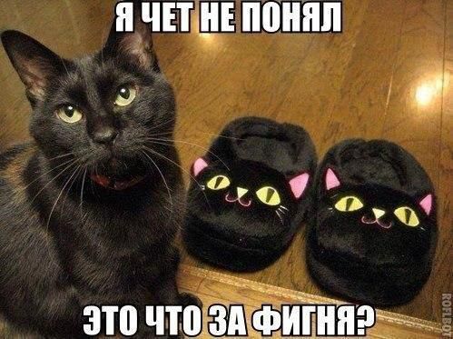 1392965941_028