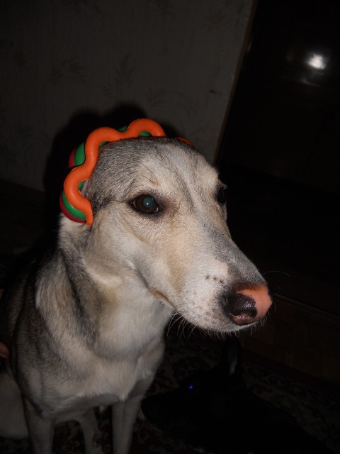 DSCN9972