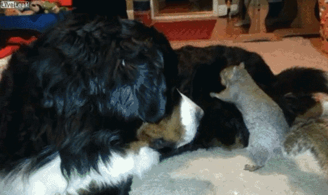 1396173005-0195bb4b3a68d2a1528183e99a0f9ab2