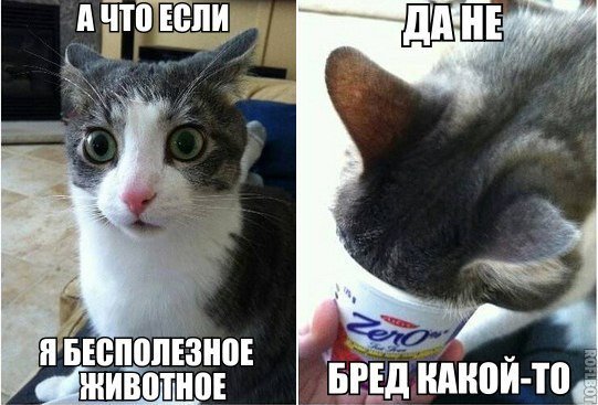 fqW9y0RDXVA
