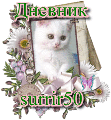 Дневникsurrir50u