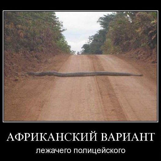demotivator031