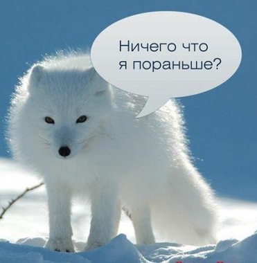 ПИСЕЦ