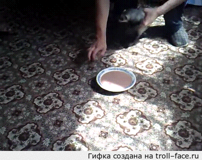 1396172234_1427716030