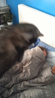 gifs_23 (1)