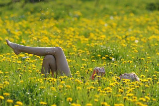 девушка на лугу 1