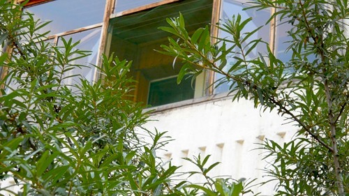 0_846f5_e022e40e_-1-L