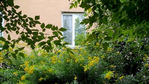 0_8acc9_71e830c1_-1-L