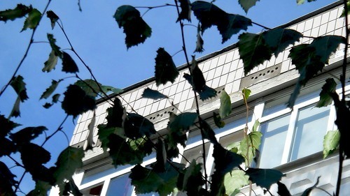 0_90d81_e40257d0_-2-L