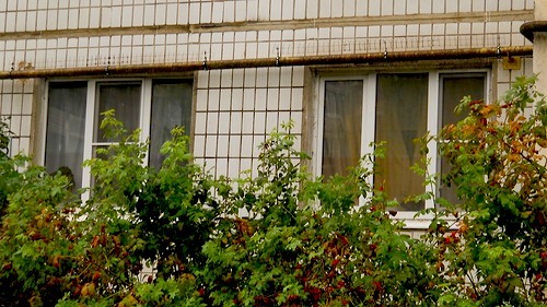 0_8c505_12f5ff72_-1-L