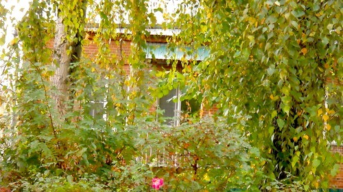 0_91756_b8a073bb_-1-L