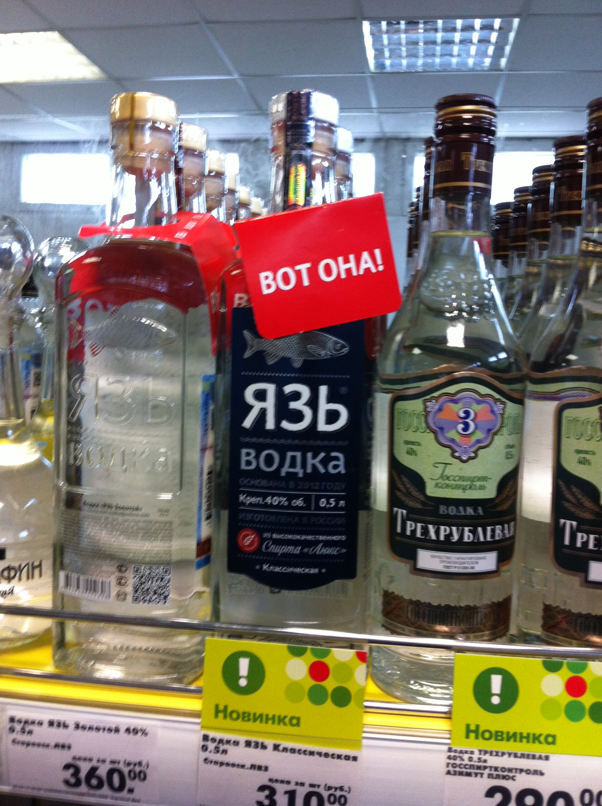 Язь