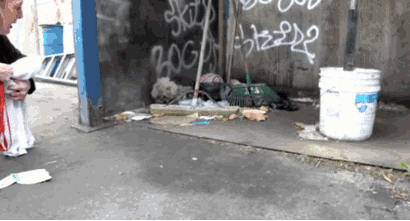 gif-доброта-1235472