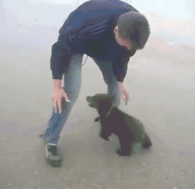 gifs_06