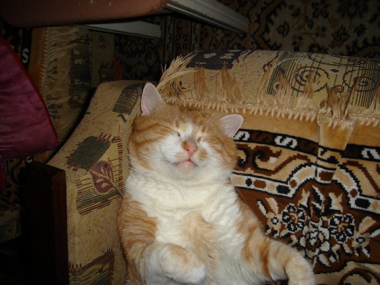 DSC00015