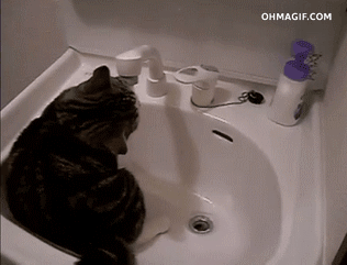 1401764852_gifs_16