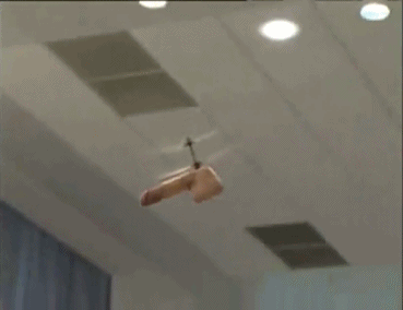 tumblr_inline_n6llda0B8T1r2fz0p