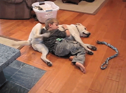 gifs_140