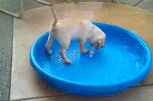 1403071112_792672604