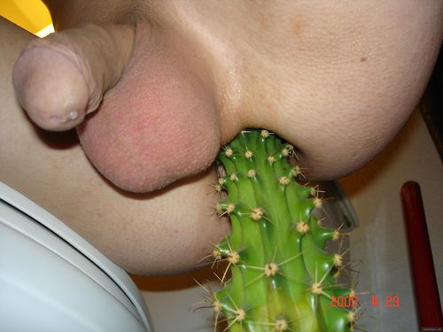 tumblr_kuq1w5r9mu1qavmq9o1_500