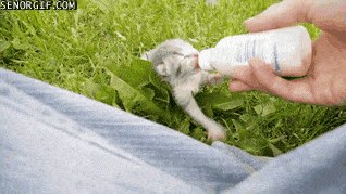 gifs_10