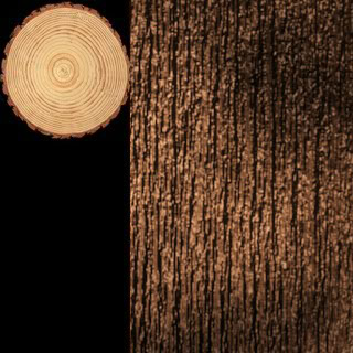 fa5bee21f875475621fcac6b2850b6f6