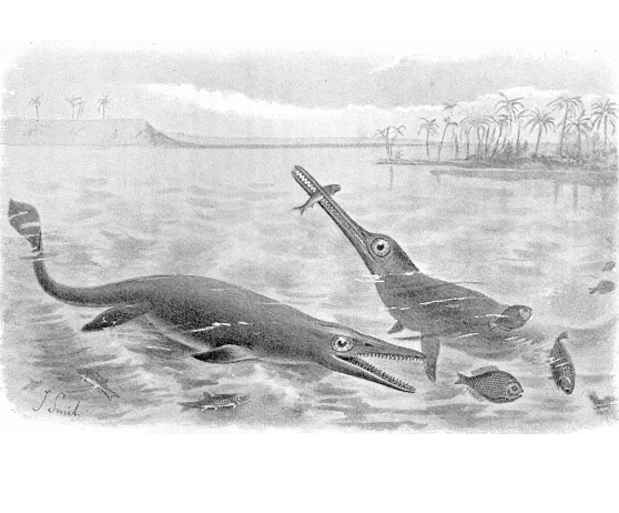 ichthyosaurus_em_1892_smit_1929