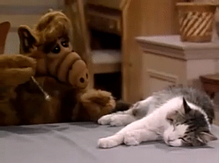 alf-kinogifki-gifki-smeshnye-gifki-animashki_41793743