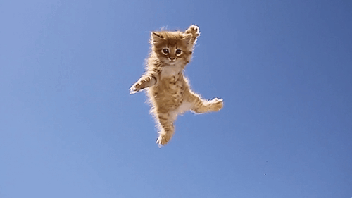 gifs_10 (1)