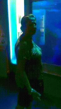 shark_attack_prank