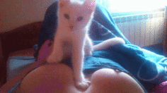 6912988-incredible-funny-gif