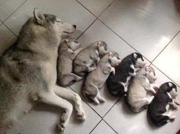 l-Family-Nap-Time