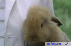 doc204628036_314040355