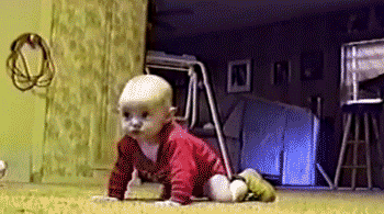Fungif_24 (7)