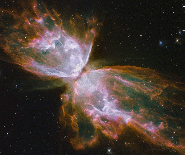 butterfly_nebula_animated_stereo_by_apolonis-d4t6i6s