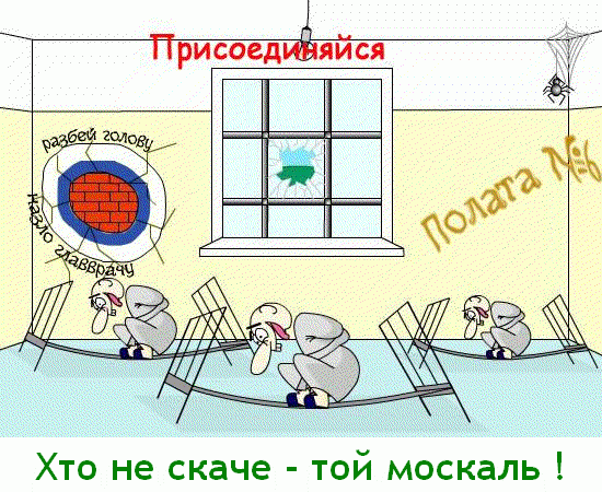 polata