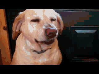 14061359973724
