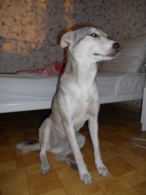 DSCN0033