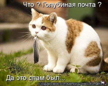 S3WvZwuxo60