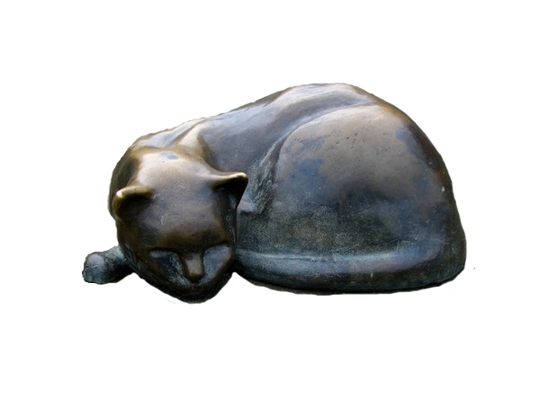 Cat111