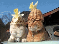 77763473b_yapfiles.ru