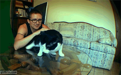cat_diarrhea