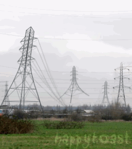 1266378724_2224_power_lines_playing_jump_rope