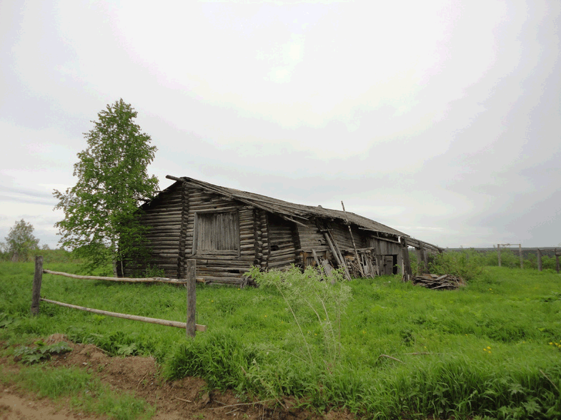 Шалакуша Архангельская область. Лепша Архангельская область. Фотографии Шалакуши. Фотшрафии Шалакуши.