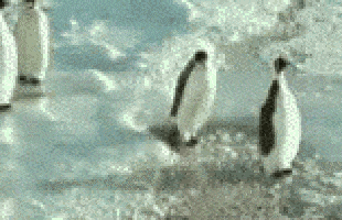 aGVKrRw_460sa_v1