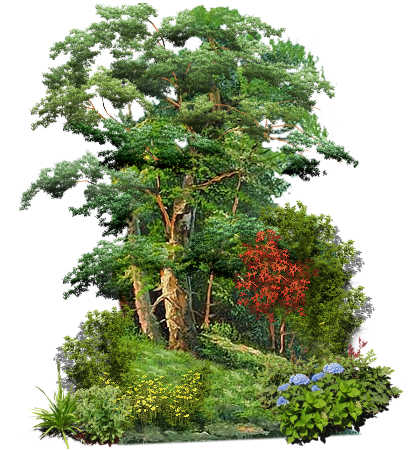 90142098_0_91e1b_7853cc33_XL