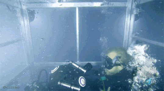 gifs_12